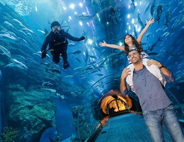 Dubai Underwater Zoo and Aquarium